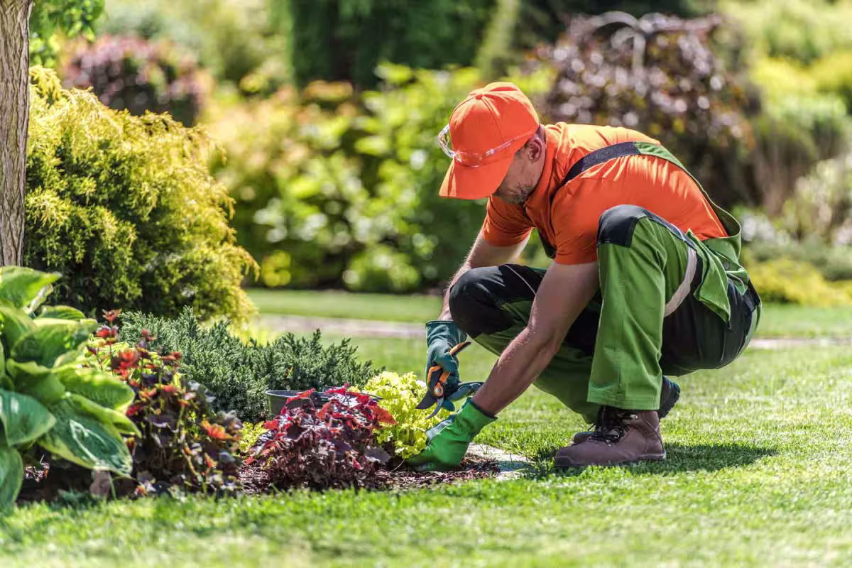 landscaping company